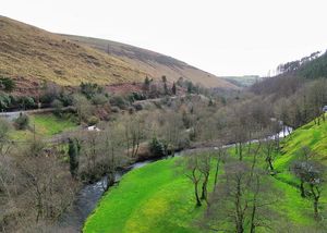 Photo 25- click for photo gallery